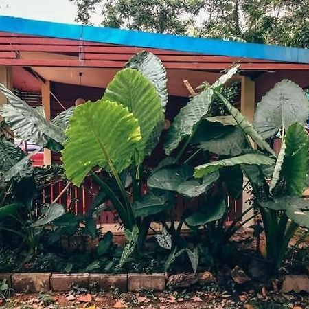 Song Pee Nong Resort Phattalung Phatthalung Exterior foto
